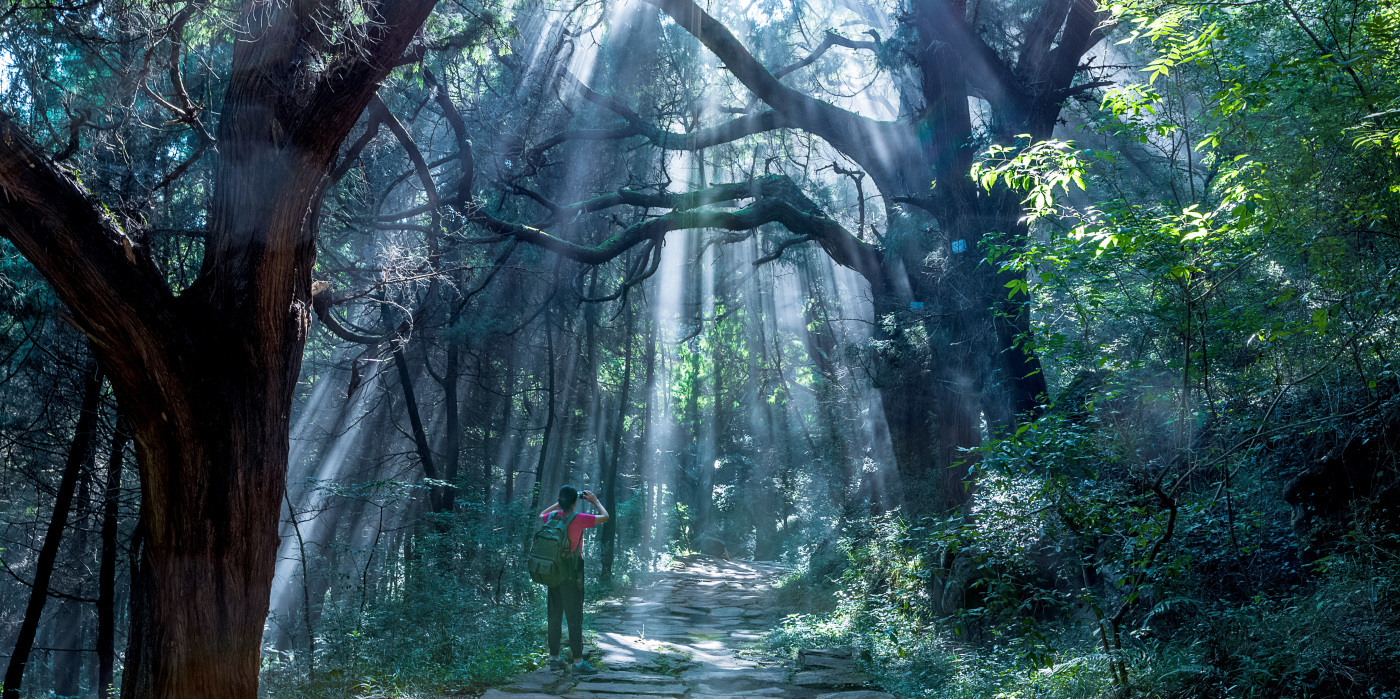 Discover Guangyuan this summer: A Journey through mountains, water and ancient paths
